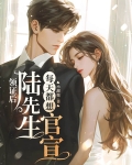 结婚后陆先生天天黏着我甜文