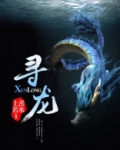 寻龙