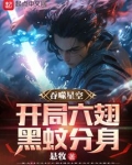 吞噬星空：开局六翅黑蚊分身