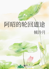 阿昭的轮回道途