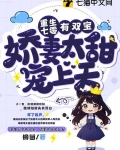 重生七零有双宝,娇妻太甜宠上天