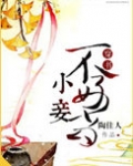 小妾不好当