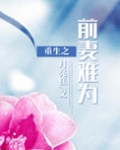 重生之前妻难为
