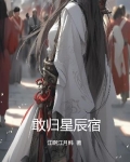 敢归星辰宿