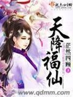 天降仙妻 小说