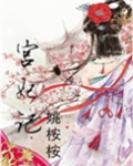 宫妃记