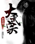大武宗