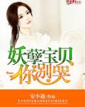 妖孽宝贝你别哭