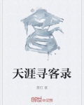 天涯寻客录