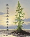 截教三代第一仙
