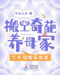 搬空奇葩养母家,下乡替嫁养崽崽