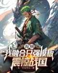 海贼：我融合只强模板，震惊战国