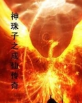 神珠子之成仙传奇