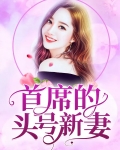 首席的头号新妻