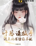 叶总请放手，迟来的深情你不配