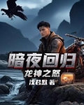 暗夜回归，狂龙之怒
