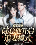 离婚后，陆总他开启追妻模式
