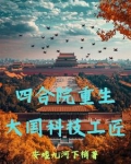四合院重生大国科技工匠
