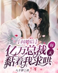 闪婚后，亿万总裁每天黏着我求哄