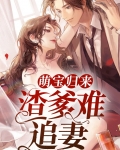 萌宝归来：渣爹难追妻