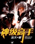 神级高手在都市免费下载奇书网