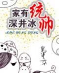 家有统帅，深井冰