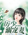 错位姻缘：厉少溺宠妻