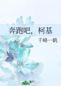 奔跑吧,柯基 千峰一鹤