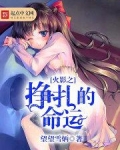 火影之挣扎的命运