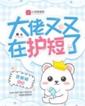 大佬又又在护短了