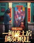 睁眼1988一间破土房俩没娘娃