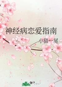 神经病恋爱指南