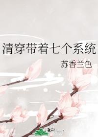 清穿之七个系统