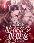 辣妈绝色:暗夜帝少狠狠宠