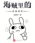 海贼里的安稳海军
