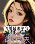 军婚闪孕一胎三宝完整版
