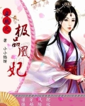 穿越之极品凰妃