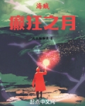 海贼:癫狂之月