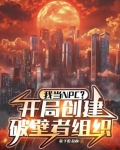 我当npc?开局创建破壁者组织