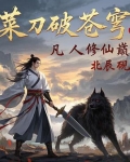 菜刀破苍穹，凡人修仙巅