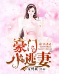 豪门小逃妻