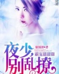 霸宠甜甜圈:夜少,别乱撩