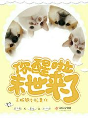 你醒来了吗