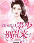甜妻在上:墨少别乱来