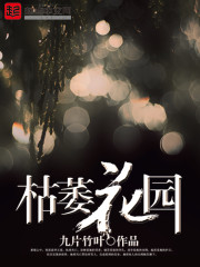 枯萎花园+夜宸+九死荒原 作者:九片竹叶