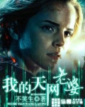 我的天网老婆
