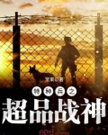 特种兵之超品战神