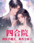 四合院:我医手遮天,禽兽全麻了