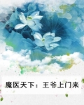 魔医天下：王爷上门来