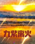 九紫离火